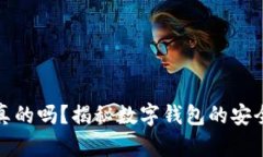 小狐钱包是真的吗?揭秘数字钱包的安全性与实