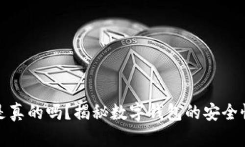 小狐钱包是真的吗？揭秘数字钱包的安全性与实用性