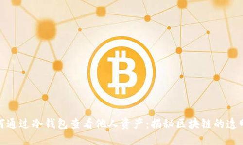 如何通过冷钱包查看他人资产:揭秘区块链的透明性