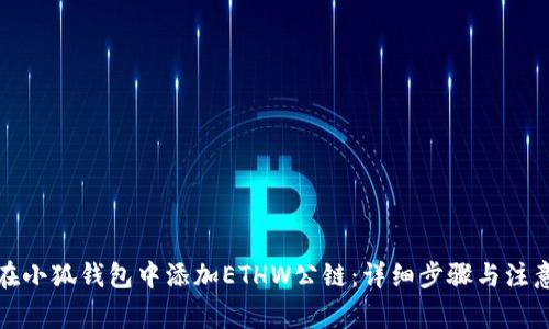 如何在小狐钱包中添加ETHW公链:详细步骤与注意事项