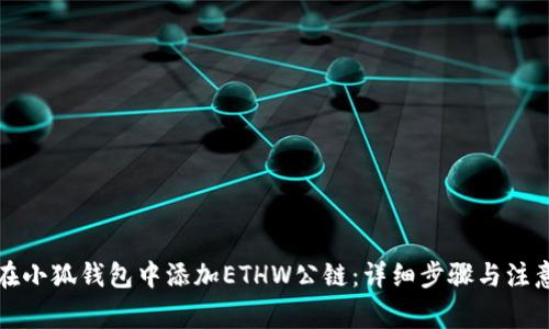 如何在小狐钱包中添加ETHW公链:详细步骤与注意事项