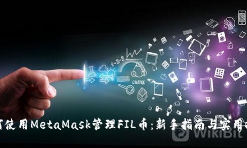 如何使用MetaMask管理FIL币:新手指南与实用技巧