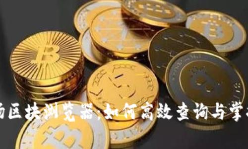深入解析波场区块浏览器:如何高效查询与掌握区块链信息