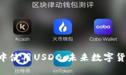 在MetaMask中使用USDC：未来数字货币的便捷选择