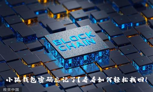 小狐钱包密码忘记了?看看如何轻松找回!