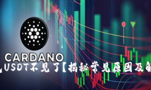 小狐钱包USDT不见了？揭秘常见原因及解决办法！