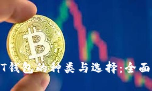 USDT钱包的种类与选择：全面解析