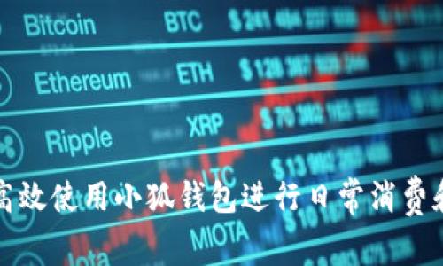 如何高效使用小狐钱包进行日常消费和理财