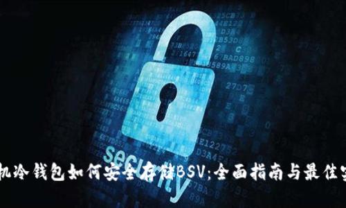 手机冷钱包如何安全存储BSV：全面指南与最佳实践