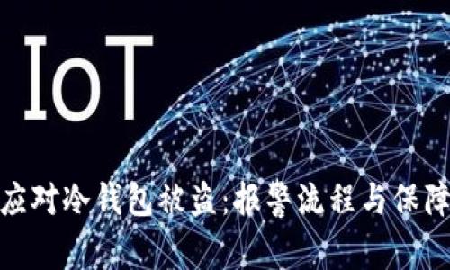 如何应对冷钱包被盗:报警流程与保障措施