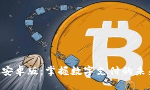 Topay钱包官网安卓版：掌握数字支付的未来与安全新模式