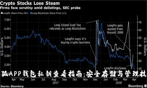 小狐APP钱包私钥查看指南:安全存储与管理技巧