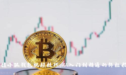 掌握小狐钱包视频技巧:从入门到精通的终极指南