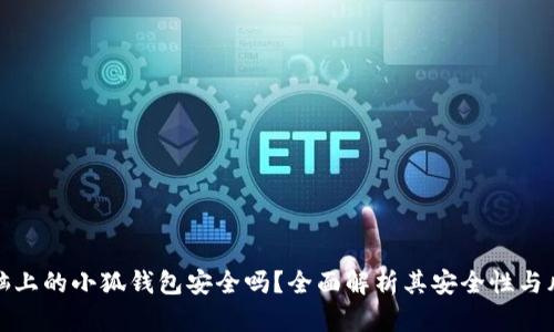 电脑上的小狐钱包安全吗？全面解析其安全性与风险