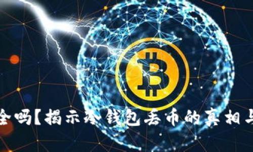 冷钱包安全吗?揭示冷钱包丢币的真相与避险策略