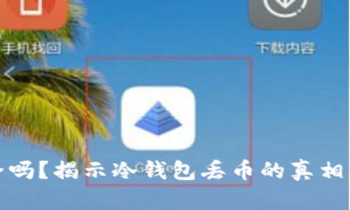 冷钱包安全吗?揭示冷钱包丢币的真相与避险策略