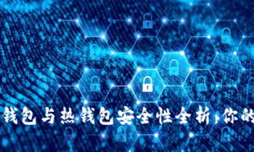 数字货币冷钱包与热钱包安全性全析:你的资产防护盾