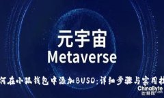 如何在小狐钱包中添加BUSD：详细步骤与实用技巧