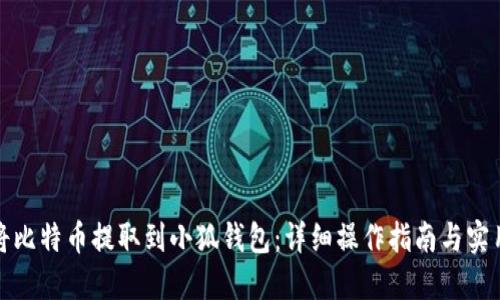 如何将比特币提取到小狐钱包:详细操作指南与实用技巧