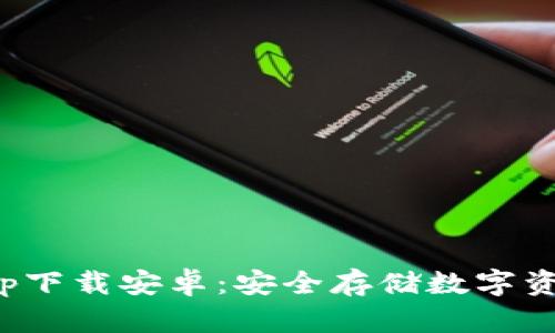 最新冷钱包app下载安卓:安全存储数字资产的最佳选择