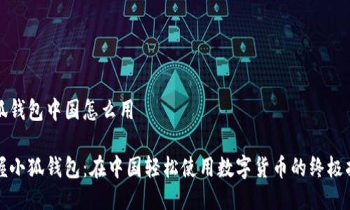 小狐钱包中国怎么用

掌握小狐钱包：在中国轻松使用数字货币的终极指南