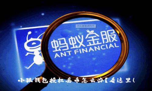 小狐钱包授权丢币怎么办?看这里!