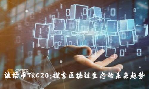 波场币TRC20:探索区块链生态的未来趋势