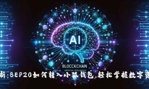 全面解析:BEP20如何转入小狐钱包,轻松掌握数字资产管理