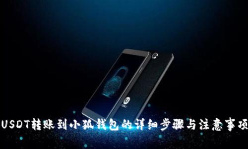 USDT转账到小狐钱包的详细步骤与注意事项
