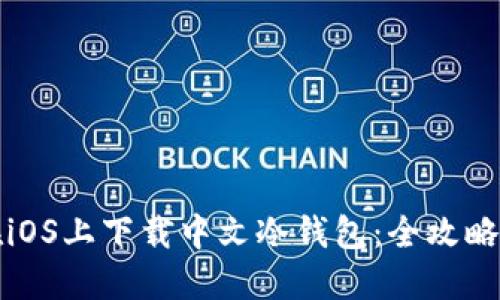 如何在iOS上下载中文冷钱包:全攻略与推荐
