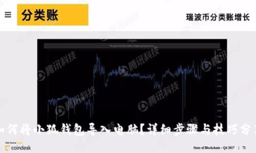 如何将小狐钱包导入电脑?详细步骤与技巧分享