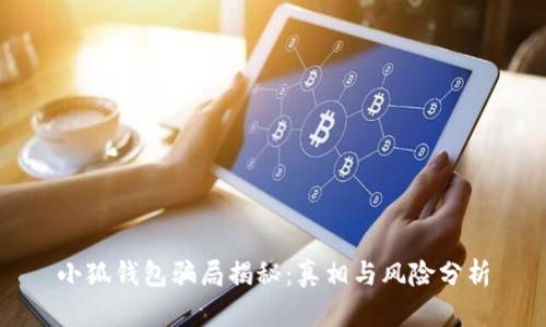 小狐钱包骗局揭秘:真相与风险分析