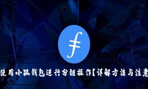 如何使用小狐钱包进行分链操作?详解方法与注意事项