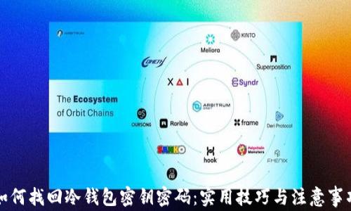 如何找回冷钱包密钥密码:实用技巧与注意事项