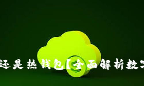 派钱包：冷钱包还是热钱包？全面解析数字资产安全选择