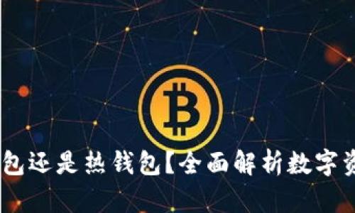 派钱包：冷钱包还是热钱包？全面解析数字资产安全选择