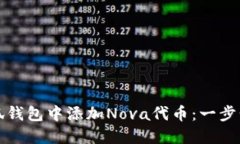 如何在小狐钱包中添加Nova代币：一步步详解指南