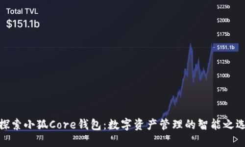 探索小狐Core钱包:数字资产管理的智能之选