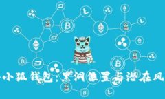 : 探秘小狐钱包：黑洞位置与潜在风险分析