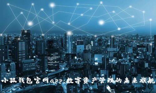 小狐钱包官网app:数字资产管理的未来旗舰
