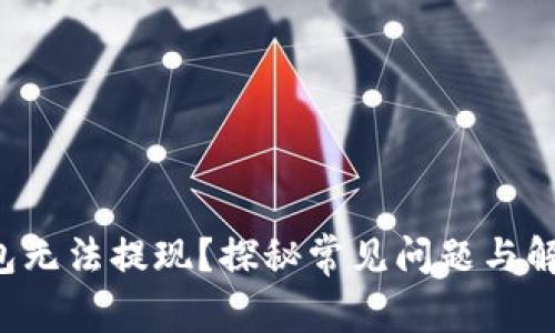 小狐钱包无法提现？探秘常见问题与解决方案！