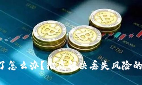 冷钱包U盘掉了怎么办?彻底解决丢失风险的五个实用方案