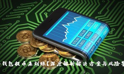 冷钱包提币未到账?深度解析解决方案与风险警示