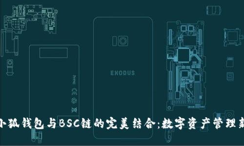 探索小狐钱包与BSC链的完美结合：数字资产管理新趋势