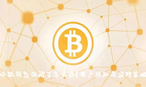 小狐钱包倒闭了怎么办？用户须知与应对策略