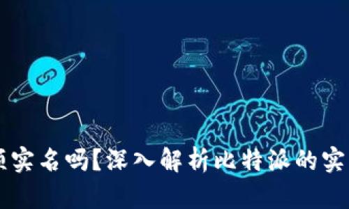 比特派必须实名吗？深入解析比特派的实名认证政策