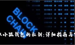 如何提取小狐钱包的私钥：详细指南与实用技巧