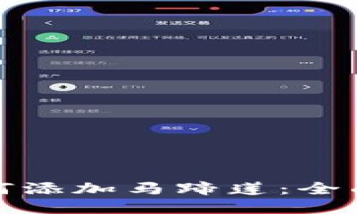 小狐钱包如何添加马蹄莲：全面指南与技巧