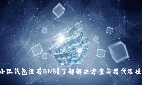 小狐钱包没有BNB？了解解决方案与替代选项！