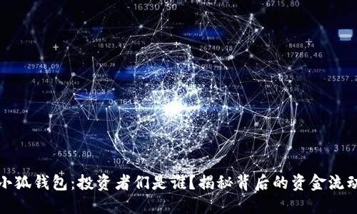 小狐钱包：投资者们是谁？揭秘背后的资金流动